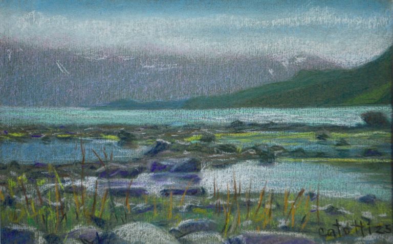 “Pools at Picture Point” pastel 5″x8″ 2025 SOLD